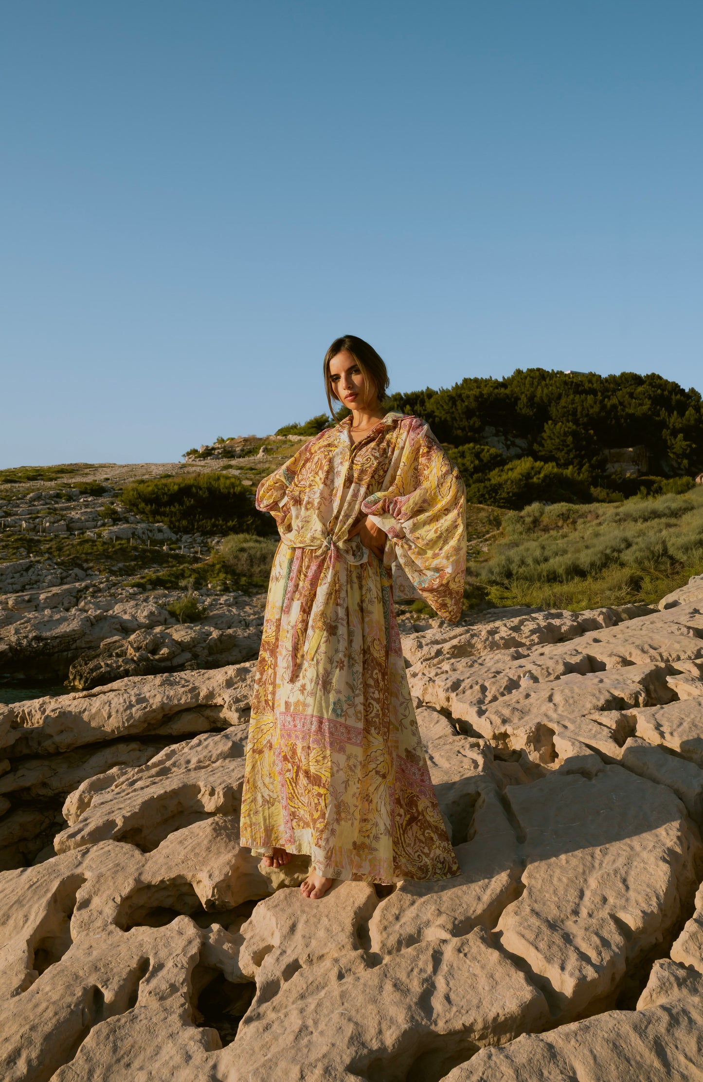 Ensemble AVANI