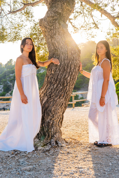 Ensemble TANVI