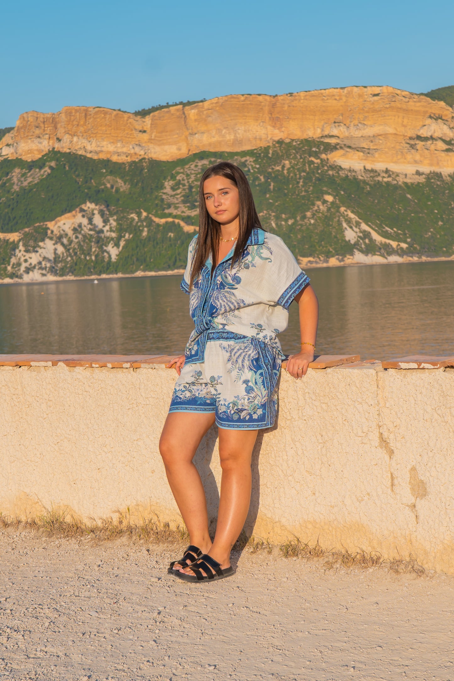 Ensemble NEELA