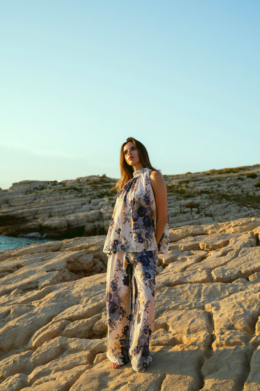 Ensemble VASANTI